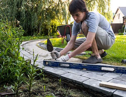 Where does it come from?