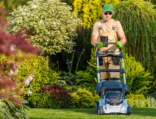 What is Lorem Ipsum?